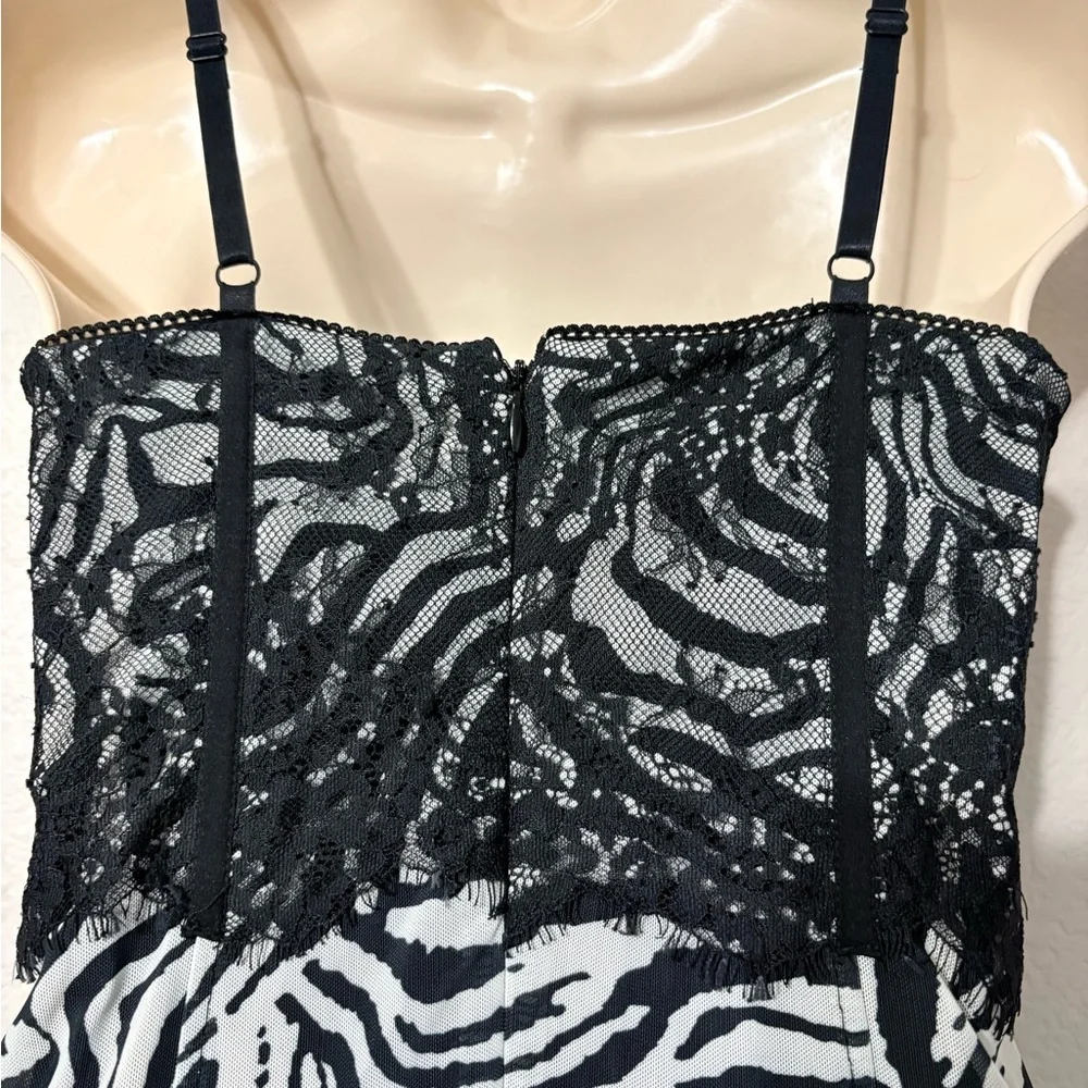 Mesh Body con Semi Sheer Black White Zebra Print Dress w Bustier Type Lace Top - Picture 7 of 13